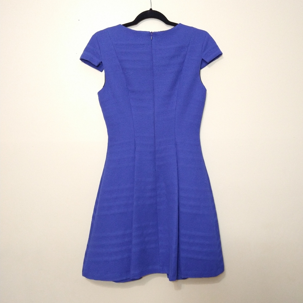 Zara Basic Royal Blue A-Line Structured Cocktail … - image 8